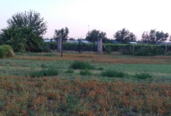 Terrenos en  Colonia Segovia, Mendoza