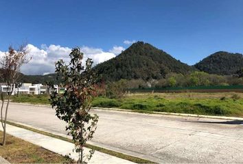 Lote de Terreno en  Barrio Santa Lucía, San Cristóbal De Las Casas