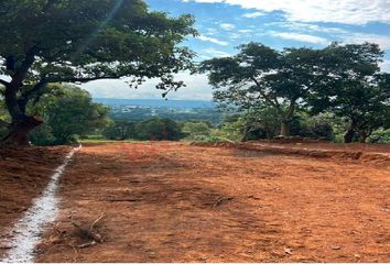 Lote de Terreno en  Tenancingo, Edo. De México, Estado De México