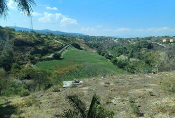 Lote de Terreno en  Pueblo Tlaltizapan De Pacheco, Tlaltizapán De Zapata