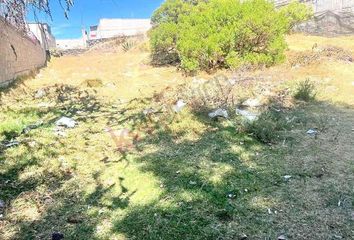 Lote de Terreno en  San Pedro, Almoloya De Juárez