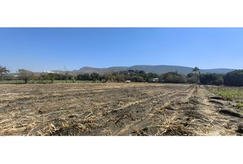 Lote de Terreno en  Chiconcuac, Xochitepec, Xochitepec, Morelos