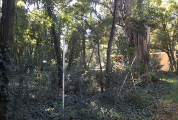 Terrenos en  Calle Los Cipreses 125, Barrio El Casal, General Pueyrredón, Provincia De Buenos Aires, Arg