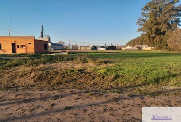 Terrenos en  9 De Julio, Provincia De Buenos Aires, Arg