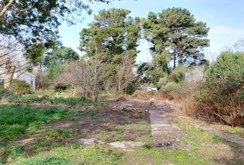 Terrenos en  Calle Las Fresias 1638, Sierra De Los Padres, General Pueyrredón, Provincia De Buenos Aires, Arg