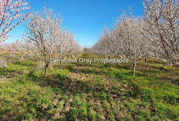 Terrenos en  Calle Tratayen 2-48, San Patricio Del Chañar, Añelo, Q8306, Neuquén, Arg