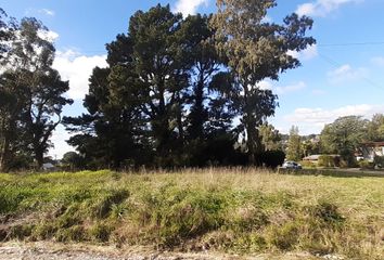 Terrenos en  Calle Irene, Sierra De Los Padres, General Pueyrredón, B7627, Provincia De Buenos Aires, Arg