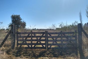 Terrenos en  Calle Las Virgenes, San Rafael, Mendoza, Arg