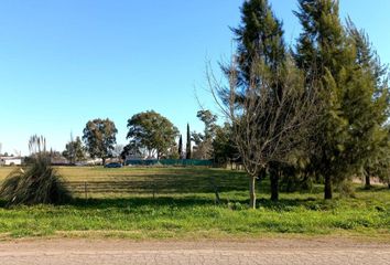 Terrenos en  Calle 167, La Plata, Provincia De Buenos Aires, Arg