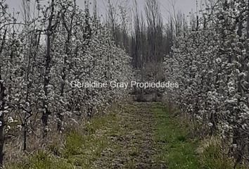 Terrenos en  Ruta Nacional 22, Neuquén, Confluencia, Neuquén, Arg