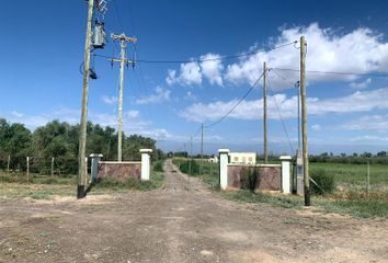 Terrenos en  Ruta Nacional 40, Las Heras, Mendoza, Arg