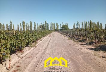 Terrenos en  San Rafael, Mendoza, Arg