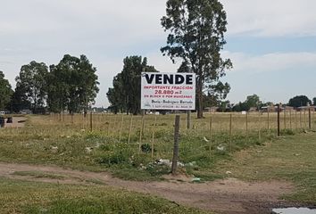 Terrenos en  Calle Jorge Moore, Bahía Blanca, Provincia De Buenos Aires, Arg