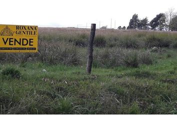 Terrenos en  Calle Pierrone 2378, Tandil, Provincia De Buenos Aires, Arg