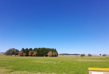 Terrenos en  Tandil, Provincia De Buenos Aires, Arg