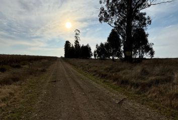 Terrenos en  Calle Tero 1398-1398, Tandil, Provincia De Buenos Aires, Arg