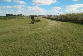 Terrenos en  Ruta Nacional 226, Barrio La Gloria, General Pueyrredón, Provincia De Buenos Aires, Arg