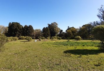 Terrenos en  Calle Los Mimbres, General Pueyrredón, Provincia De Buenos Aires, Arg