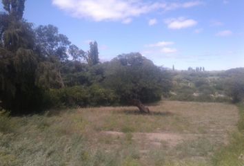 Terrenos en  Ruta Provincial 307, Amaicha Del Valle, Tafí Del Valle, Tucumán, Arg