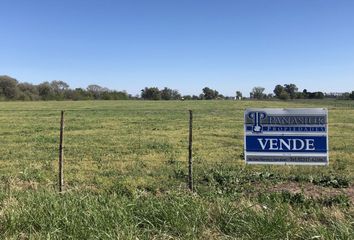 Terrenos en  9 De Julio, Provincia De Buenos Aires, Arg