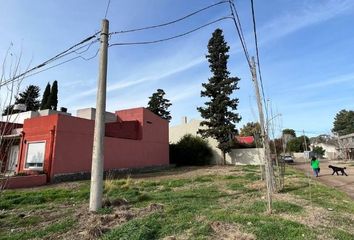 Terrenos en  Calle Pigue 1250-1300, Bahía Blanca, Provincia De Buenos Aires, Arg