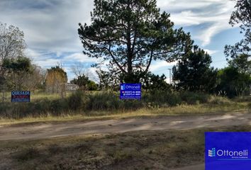 Terrenos en  Avenida Chascomús 2502-2600, La Costa, Provincia De Buenos Aires, Arg