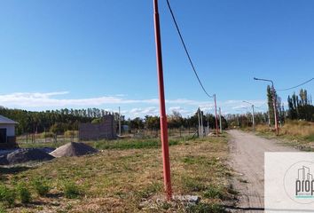Terrenos en  Vista Alegre Norte, Confluencia, Neuquén, Arg
