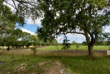 Terrenos en  Sierra De Los Padres, General Pueyrredón, Provincia De Buenos Aires, Arg