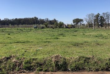 Terrenos en  Calle Tucumán 3438, 9 De Julio, Provincia De Buenos Aires, Arg