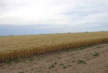 Terrenos en  Alpachiri, La Pampa