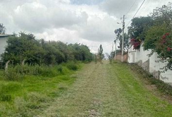 Terreno Comercial en  Puembo, Quito