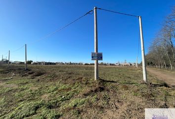 Terrenos en  Calle Manuel Alberti, 9 De Julio, Provincia De Buenos Aires, Arg