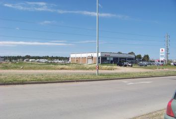 Terrenos en  Calle Sarmiento, Bahía Blanca, Provincia De Buenos Aires, Arg