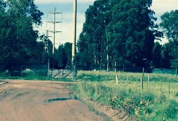 Terrenos en  Calle Chiclana, Bahía Blanca, B8000, Provincia De Buenos Aires, Arg