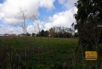 Terrenos en  Tandil, Provincia De Buenos Aires, Arg