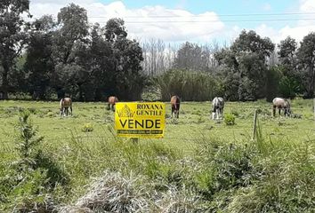 Terrenos en  Tandil, Provincia De Buenos Aires, Arg