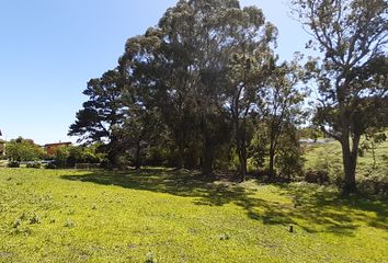 Terrenos en  Calle Evelina 67, Sierra De Los Padres, General Pueyrredón, Provincia De Buenos Aires, Arg