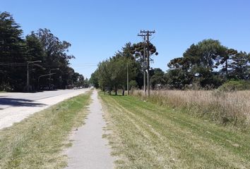 Quinta/Finca en  Calle Varetto, General Pueyrredón, Provincia De Buenos Aires, Arg