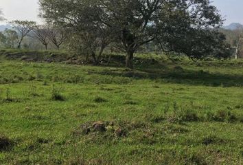 Lote de Terreno en  Misantla, Veracruz