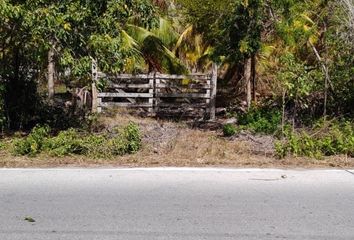 Lote de Terreno en  Dzilam De Bravo, Yucatán