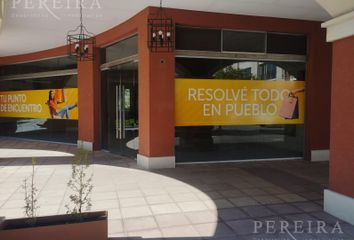 Locales en  Pueblo Caamaño, Partido Del Pilar