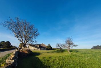 Terreno en  Tapia De Casariego, Asturias