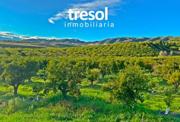 Terreno en  Alhaurin De La Torre, Málaga Provincia