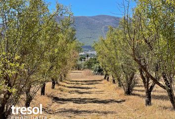 Terreno en  Alhaurin El Grande, Málaga Provincia