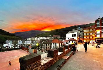 Chalet en  Cangas De Narcea, Asturias