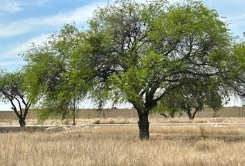 Lote de Terreno en  La Purísima, Santiago De Querétaro, Municipio De Querétaro