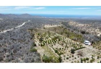 Lote de Terreno en  Plutarco Elias Calles, La Paz