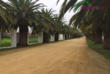 Parcela en  Isla De Maipo, Talagante