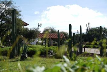 Lote de Terreno en  La Cueva De Puruagua, Jerécuaro, Guanajuato, Mex