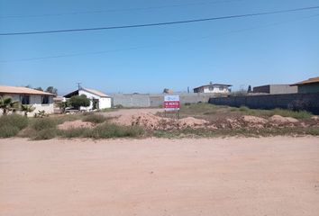 Lote de Terreno en  Valle De San Quintín, Ensenada